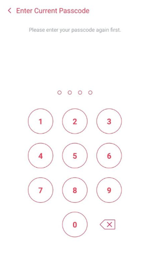 Enter current passcode