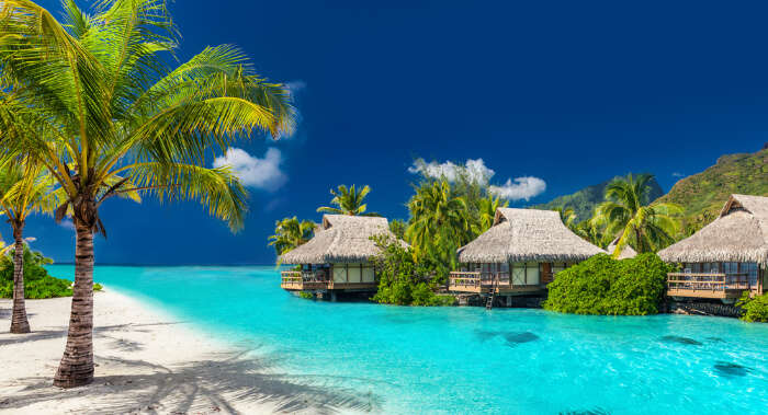 Fiji Holiday Destination Zoom Backgrounds