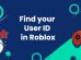 Find Your UserId in Roblox