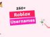 Roblox Usernames