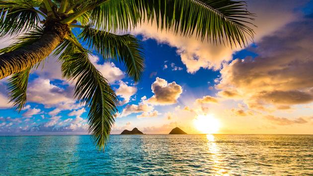 Hawaii Holiday Destination Zoom Backgrounds