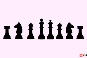 Chess Pieces Types