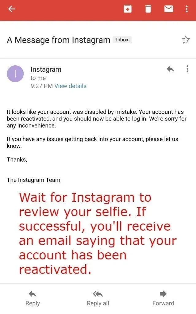 Wait for Instagram to reactivate your account.