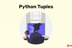 Python Tuples